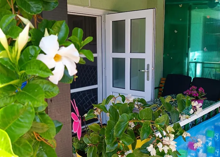 Apartmán Tognon