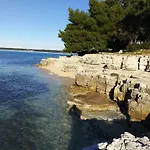 Tognon 아파트 *